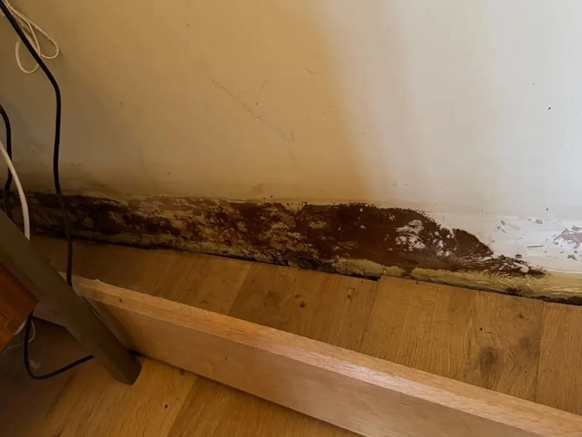 Skirting board and wall base stained dark by water